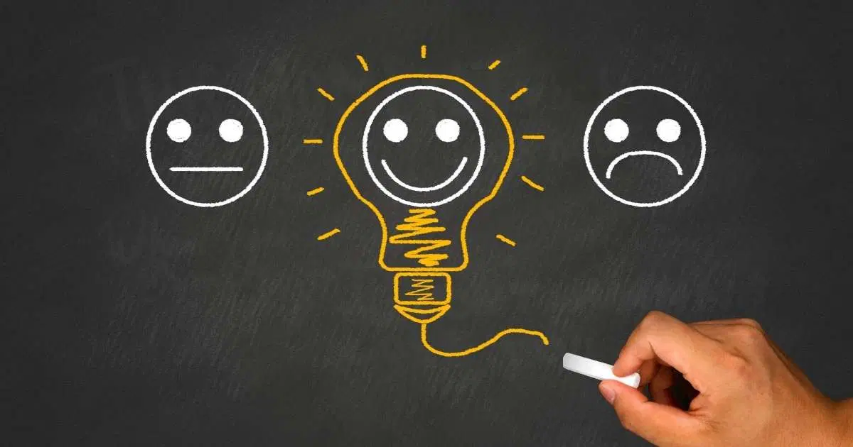 Performans Değerlendirme Yönetimi ve Süreçleri