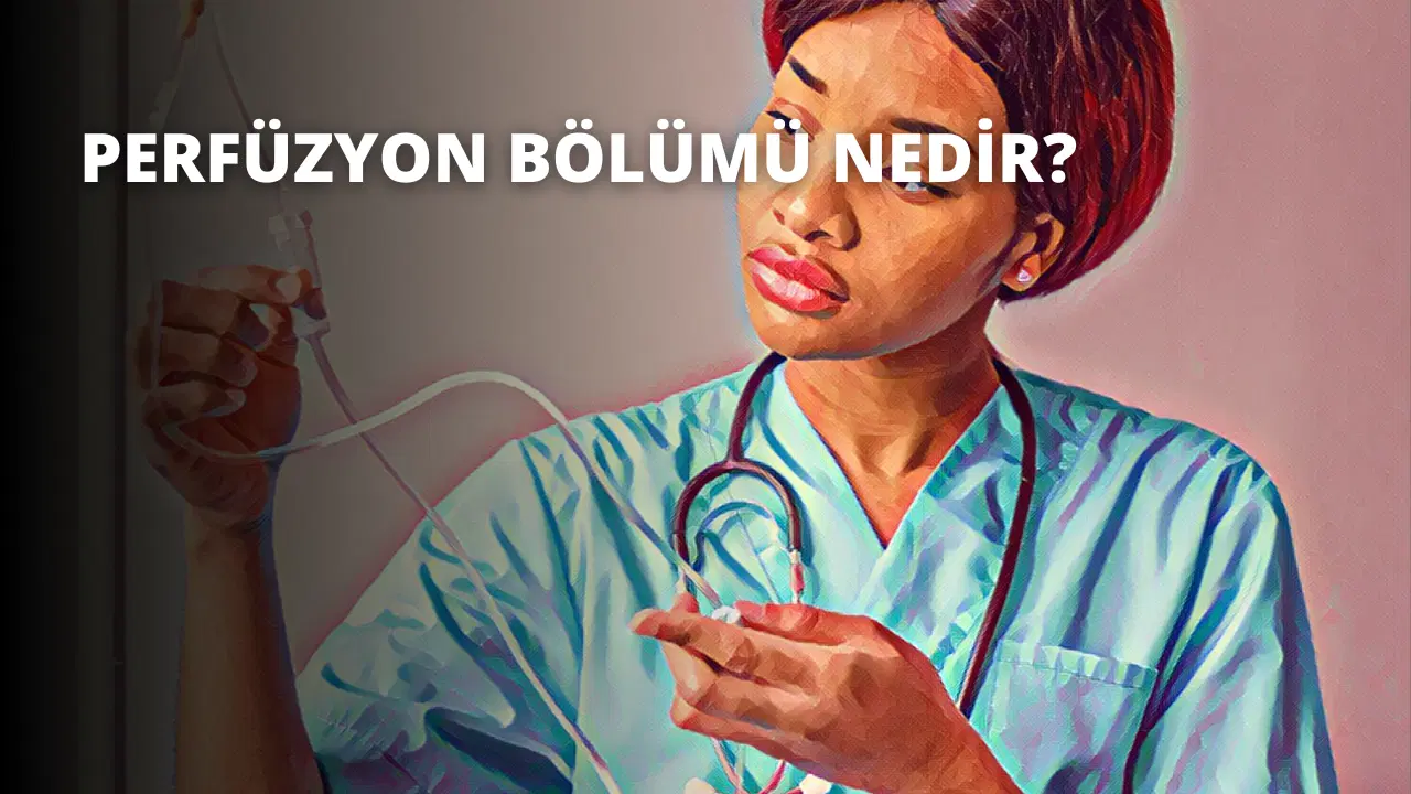 Perfüzyon Bölümü Nedir?