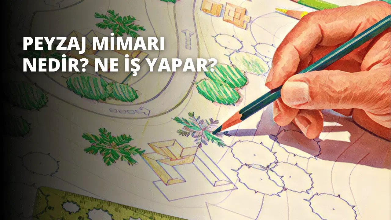 Peyzaj Mimarı Nedir? Ne İş Yapar?