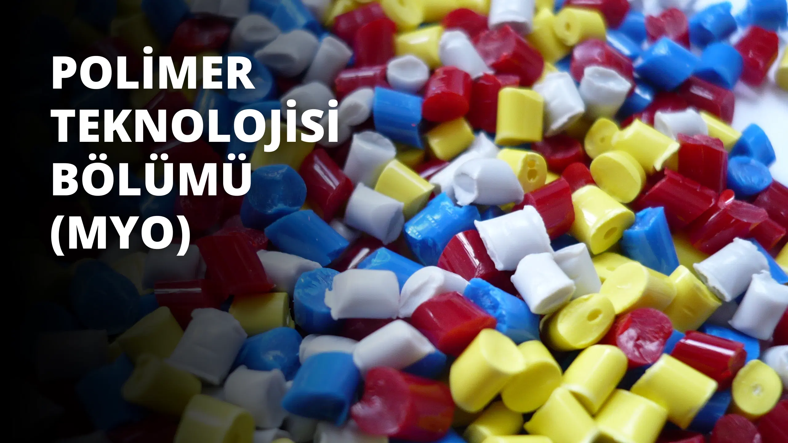 Polimer Teknolojisi Bölümü (MYO)