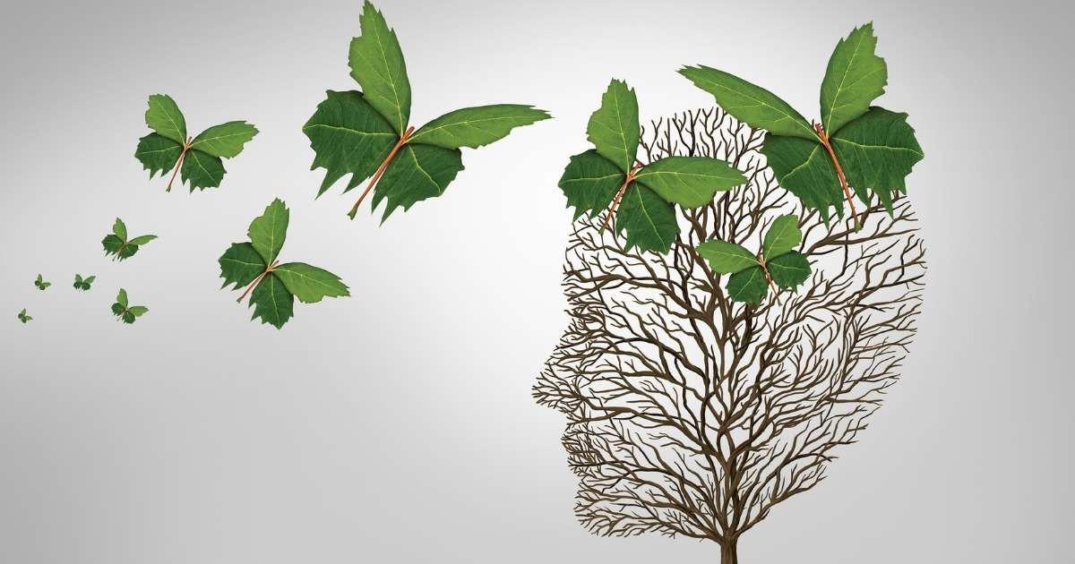 Pozitif Psikoloji Nedir?