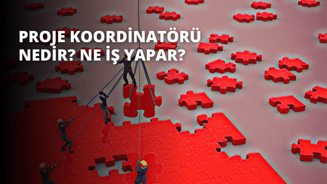 Proje Koordinatörü Nedir? Ne İş Yapar?