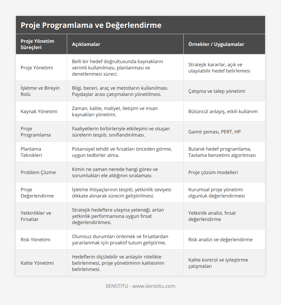 Proje Yönetimi, Belli bir hedef doğrultusunda kaynakların verimli kullanılması, planlanması ve denetlenmesi süreci, Stratejik kararlar, açık ve ulaşılabilir hedef belirlemesi, İşletme ve Bireyin Rolü, Bilgi, beceri, araç ve metotların kullanılması Paydaşlar arası çatışmaların yönetilmesi, Çatışma ve talep yönetimi, Kaynak Yönetimi, Zaman, kalite, maliyet, iletişim ve insan kaynakları yönetimi, Bütüncül anlayış, etkili kullanım, Proje Programlama, Faaliyetlerin birbirleriyle etkileşimi ve oluşan sürelerin tespiti, sınıflandırılması, Gannt şeması, PERT, HP, Planlama Teknikleri, Potansiyel tehdit ve fırsatları önceden görme, uygun tedbirler alma, Bulanık hedef programlama, Tavlama benzetimi algoritması, Problem Çözme, Kimin ne zaman nerede hangi görev ve sorumlukları ele aldığının sıralaması, Proje çözüm modelleri, Proje Değerlendirme, İşletme ihtiyaçlarının tespiti, yetkinlik seviyesi dikkate alınarak sürecin geliştirilmesi, Kurumsal proje yönetimi olgunluk değerlendirmesi, Yetkinlikler ve Fırsatlar, Stratejik hedeflere ulaşma yeteneği, artan yetkinlik performansına uygun fırsat değerlendirilmesi, Yetkinlik analizi, fırsat değerlendirme, Risk Yönetimi, Olumsuz durumları önlemek ve fırsatlardan yararlanmak için proaktif tutum geliştirme, Risk analizi ve değerlendirme, Kalite Yönetimi, Hedeflerin ölçülebilir ve anlaşılır nitelikte belirlenmesi, proje yönetiminin kalitesinin belirlenmesi, Kalite kontrol ve iyileştirme çalışmaları