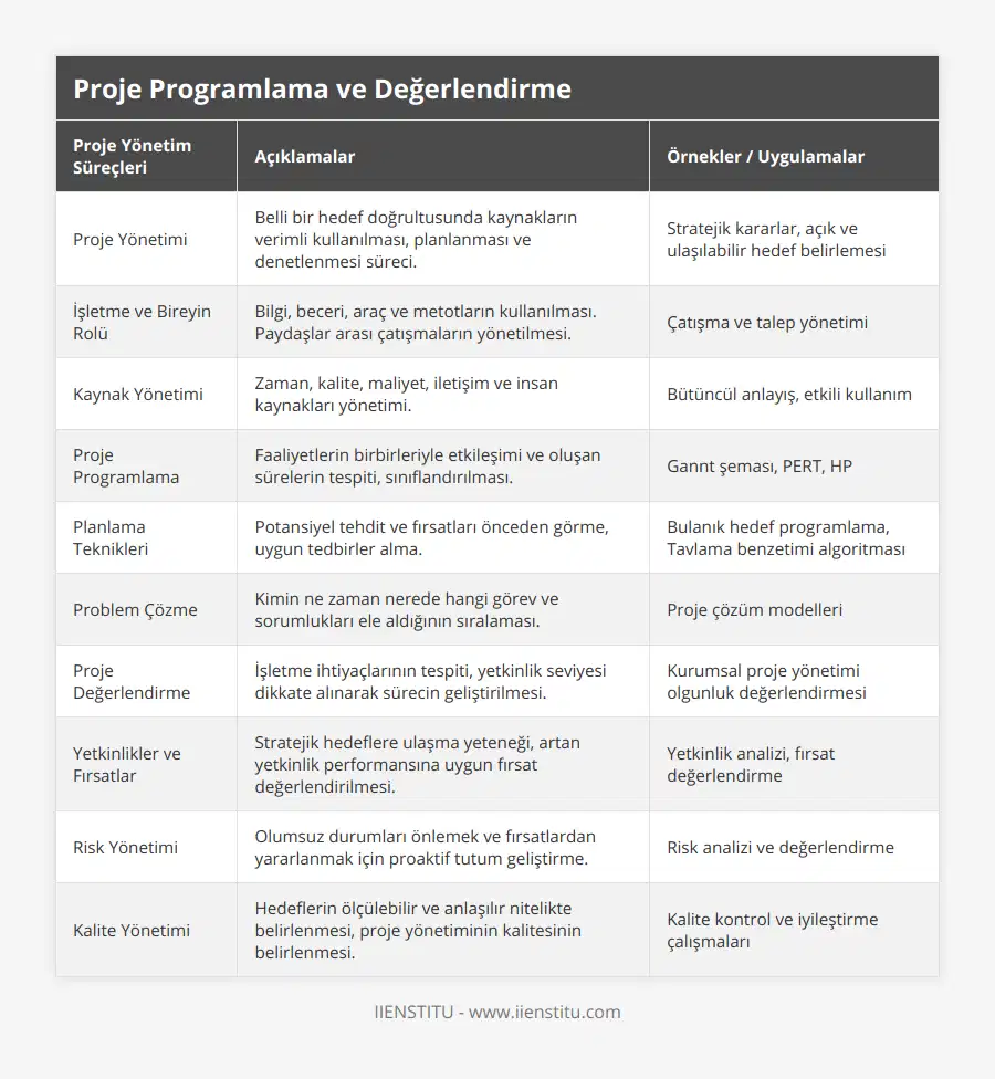 Proje Yönetimi, Belli bir hedef doğrultusunda kaynakların verimli kullanılması, planlanması ve denetlenmesi süreci, Stratejik kararlar, açık ve ulaşılabilir hedef belirlemesi, İşletme ve Bireyin Rolü, Bilgi, beceri, araç ve metotların kullanılması Paydaşlar arası çatışmaların yönetilmesi, Çatışma ve talep yönetimi, Kaynak Yönetimi, Zaman, kalite, maliyet, iletişim ve insan kaynakları yönetimi, Bütüncül anlayış, etkili kullanım, Proje Programlama, Faaliyetlerin birbirleriyle etkileşimi ve oluşan sürelerin tespiti, sınıflandırılması, Gannt şeması, PERT, HP, Planlama Teknikleri, Potansiyel tehdit ve fırsatları önceden görme, uygun tedbirler alma, Bulanık hedef programlama, Tavlama benzetimi algoritması, Problem Çözme, Kimin ne zaman nerede hangi görev ve sorumlukları ele aldığının sıralaması, Proje çözüm modelleri, Proje Değerlendirme, İşletme ihtiyaçlarının tespiti, yetkinlik seviyesi dikkate alınarak sürecin geliştirilmesi, Kurumsal proje yönetimi olgunluk değerlendirmesi, Yetkinlikler ve Fırsatlar, Stratejik hedeflere ulaşma yeteneği, artan yetkinlik performansına uygun fırsat değerlendirilmesi, Yetkinlik analizi, fırsat değerlendirme, Risk Yönetimi, Olumsuz durumları önlemek ve fırsatlardan yararlanmak için proaktif tutum geliştirme, Risk analizi ve değerlendirme, Kalite Yönetimi, Hedeflerin ölçülebilir ve anlaşılır nitelikte belirlenmesi, proje yönetiminin kalitesinin belirlenmesi, Kalite kontrol ve iyileştirme çalışmaları