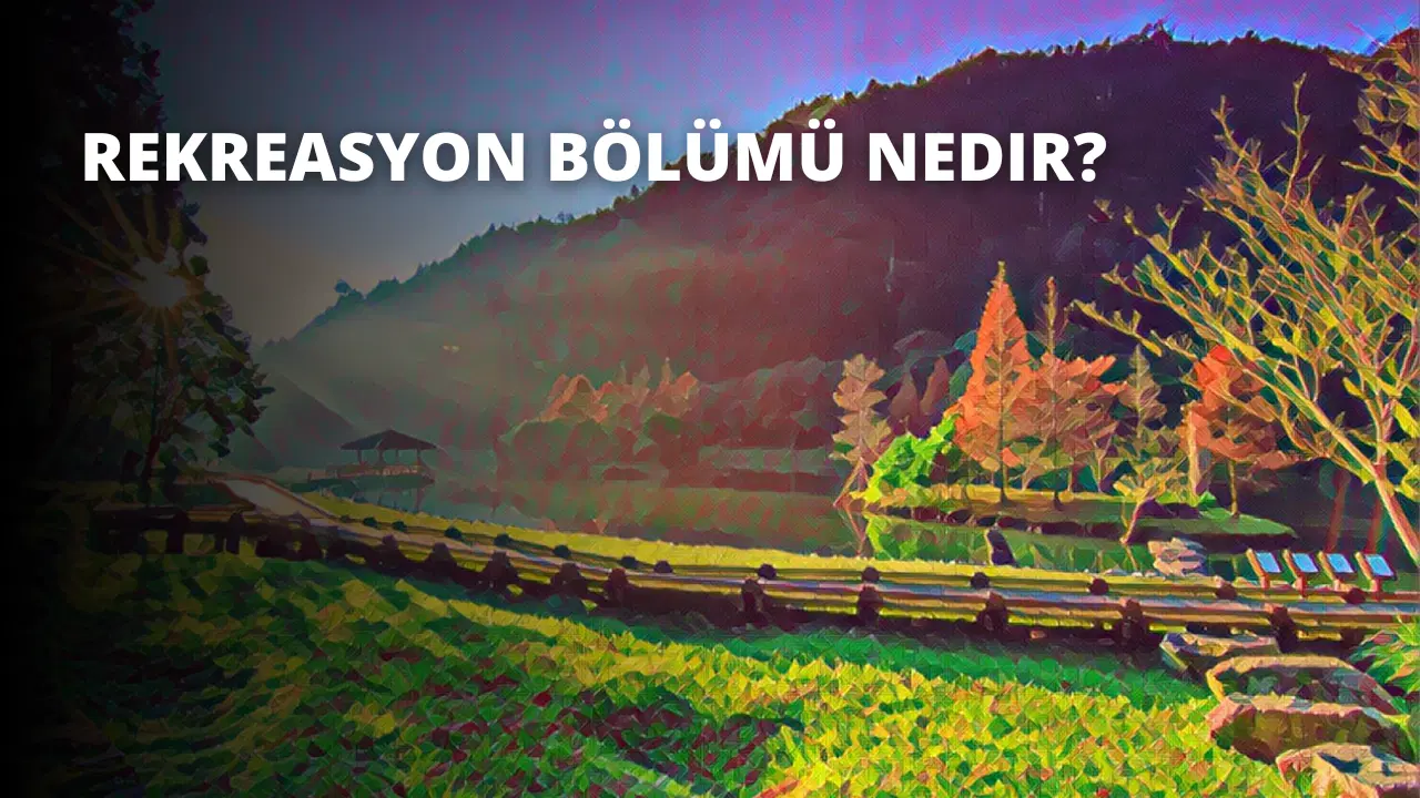 Rekreasyon Bölümü Nedir?