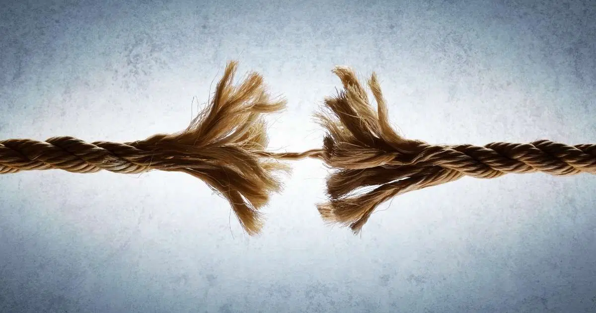 Risk İletişimi Nedir?