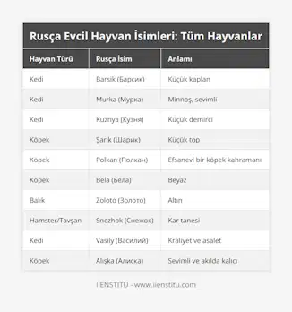 Kedi, Barsik (Барсик), Küçük kaplan, Kedi, Murka (Мурка), Minnoş, sevimli, Kedi, Kuznya (Кузня), Küçük demirci, Köpek, Şarik (Шарик), Küçük top, Köpek, Polkan (Полкан), Efsanevi bir köpek kahramanı, Köpek, Bela (Бела), Beyaz, Balık, Zoloto (Золото), Altın, Hamster/Tavşan, Snezhok (Снежок), Kar tanesi, Kedi, Vasily (Василий), Kraliyet ve asalet, Köpek, Alışka (Алиска), Sevimli ve akılda kalıcı