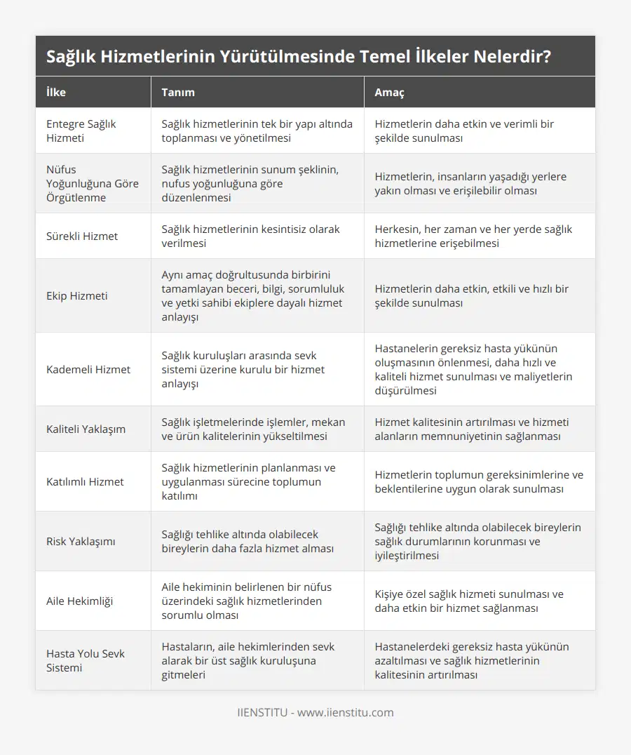 Entegre Sağlık Hizmeti, Sağlık hizmetlerinin tek bir yapı altında toplanması ve yönetilmesi, Hizmetlerin daha etkin ve verimli bir şekilde sunulması, Nüfus Yoğunluğuna Göre Örgütlenme, Sağlık hizmetlerinin sunum şeklinin, nufus yoğunluğuna göre düzenlenmesi, Hizmetlerin, insanların yaşadığı yerlere yakın olması ve erişilebilir olması, Sürekli Hizmet, Sağlık hizmetlerinin kesintisiz olarak verilmesi, Herkesin, her zaman ve her yerde sağlık hizmetlerine erişebilmesi, Ekip Hizmeti, Aynı amaç doğrultusunda birbirini tamamlayan beceri, bilgi, sorumluluk ve yetki sahibi ekiplere dayalı hizmet anlayışı, Hizmetlerin daha etkin, etkili ve hızlı bir şekilde sunulması, Kademeli Hizmet, Sağlık kuruluşları arasında sevk sistemi üzerine kurulu bir hizmet anlayışı, Hastanelerin gereksiz hasta yükünün oluşmasının önlenmesi, daha hızlı ve kaliteli hizmet sunulması ve maliyetlerin düşürülmesi, Kaliteli Yaklaşım, Sağlık işletmelerinde işlemler, mekan ve ürün kalitelerinin yükseltilmesi, Hizmet kalitesinin artırılması ve hizmeti alanların memnuniyetinin sağlanması, Katılımlı Hizmet, Sağlık hizmetlerinin planlanması ve uygulanması sürecine toplumun katılımı, Hizmetlerin toplumun gereksinimlerine ve beklentilerine uygun olarak sunulması, Risk Yaklaşımı, Sağlığı tehlike altında olabilecek bireylerin daha fazla hizmet alması, Sağlığı tehlike altında olabilecek bireylerin sağlık durumlarının korunması ve iyileştirilmesi, Aile Hekimliği, Aile hekiminin belirlenen bir nüfus üzerindeki sağlık hizmetlerinden sorumlu olması, Kişiye özel sağlık hizmeti sunulması ve daha etkin bir hizmet sağlanması, Hasta Yolu Sevk Sistemi, Hastaların, aile hekimlerinden sevk alarak bir üst sağlık kuruluşuna gitmeleri, Hastanelerdeki gereksiz hasta yükünün azaltılması ve sağlık hizmetlerinin kalitesinin artırılması