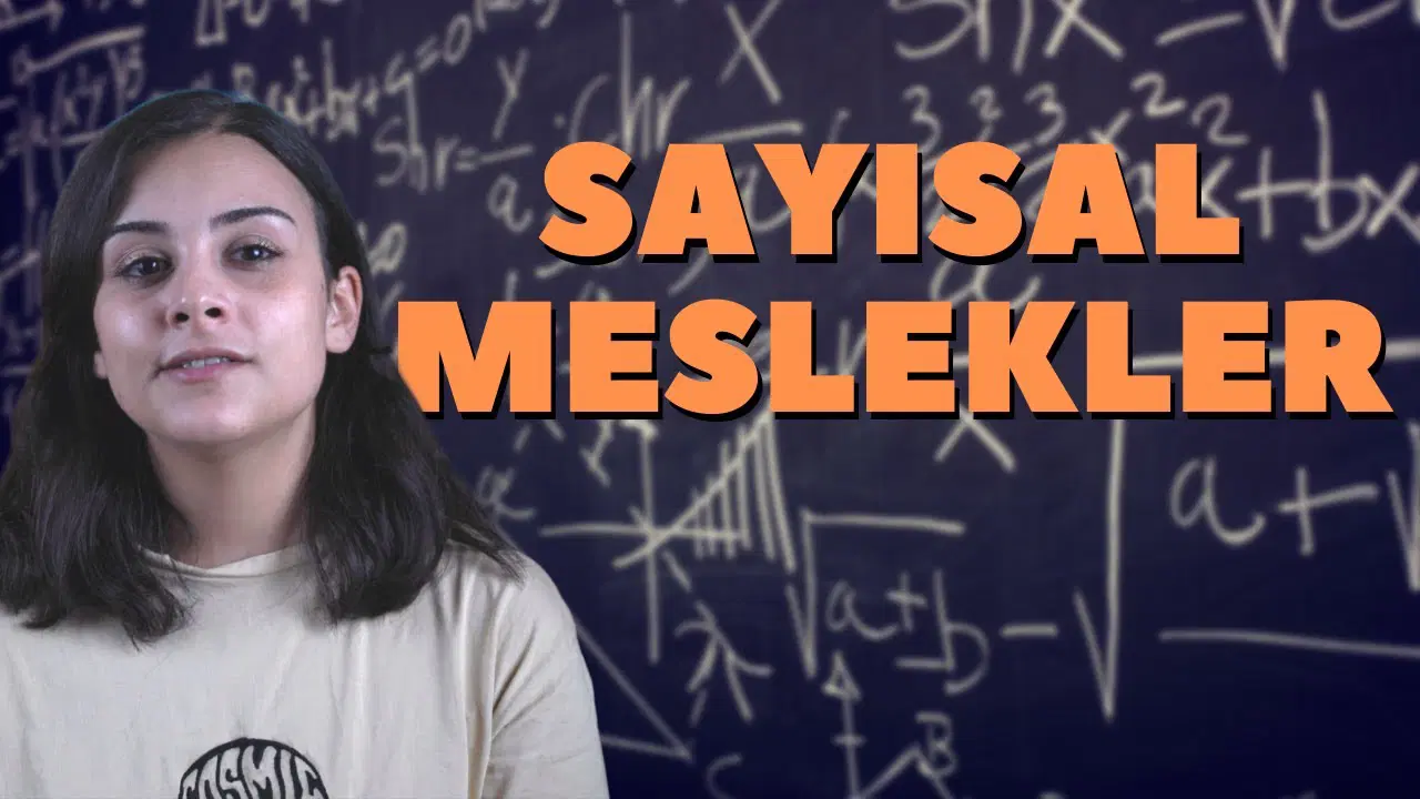 Sayısal Meslekler Nelerdir?