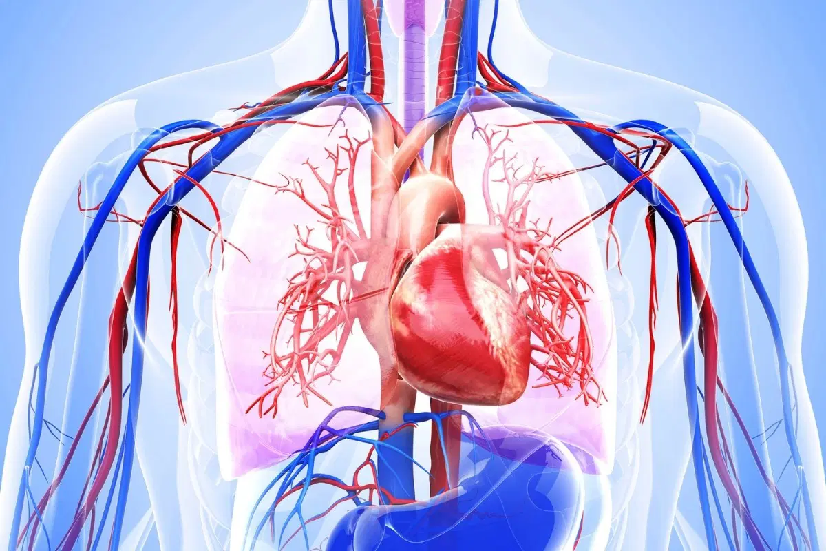 Sayısal Veriler Işığında İnsan ve Sağlığının Önemi