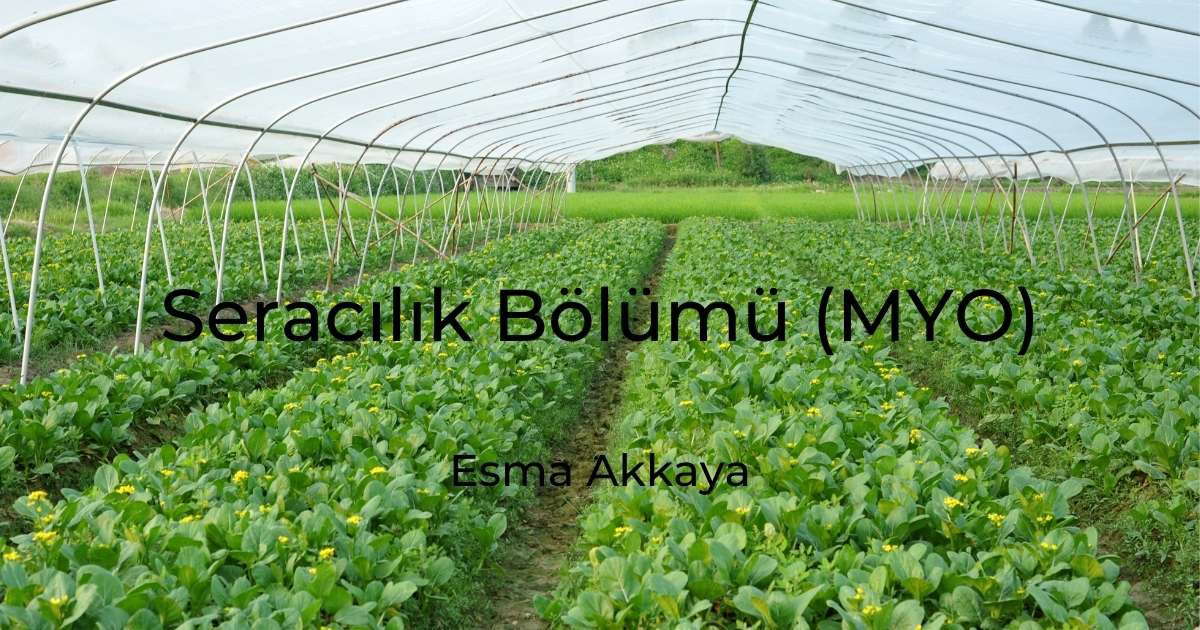 Seracılık Bölümü (MYO)