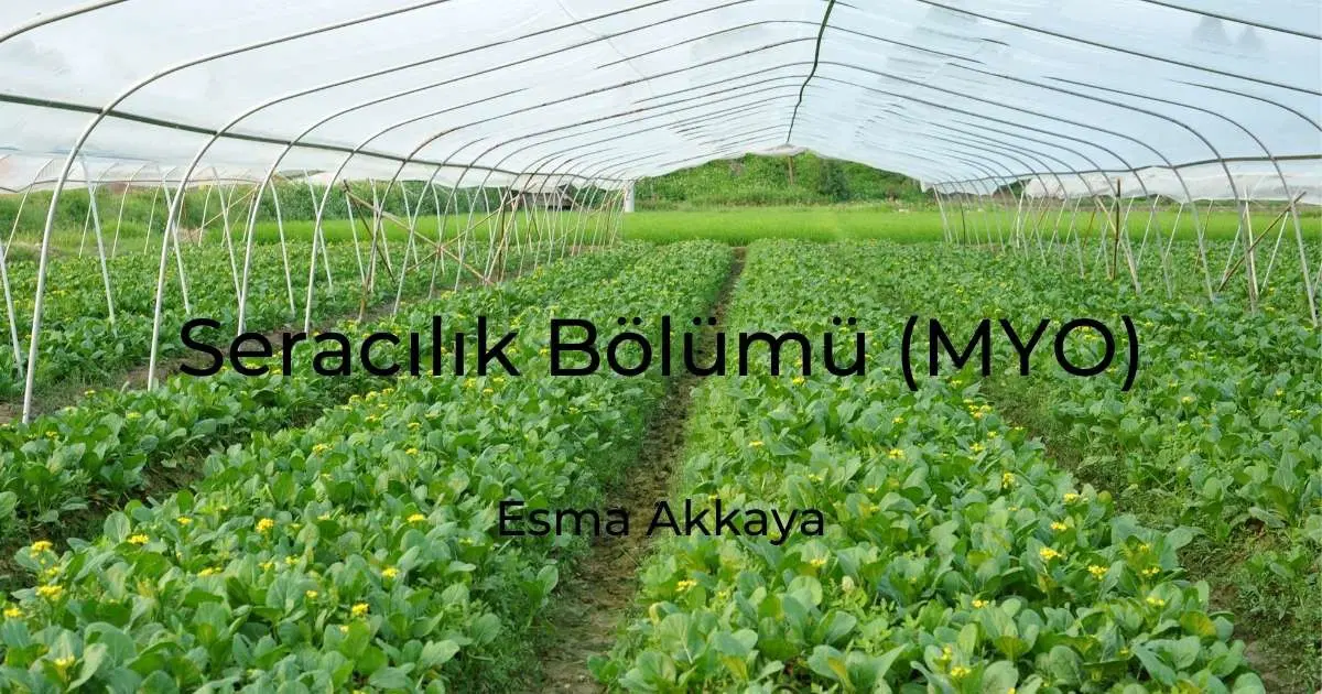 Seracılık Bölümü (MYO)