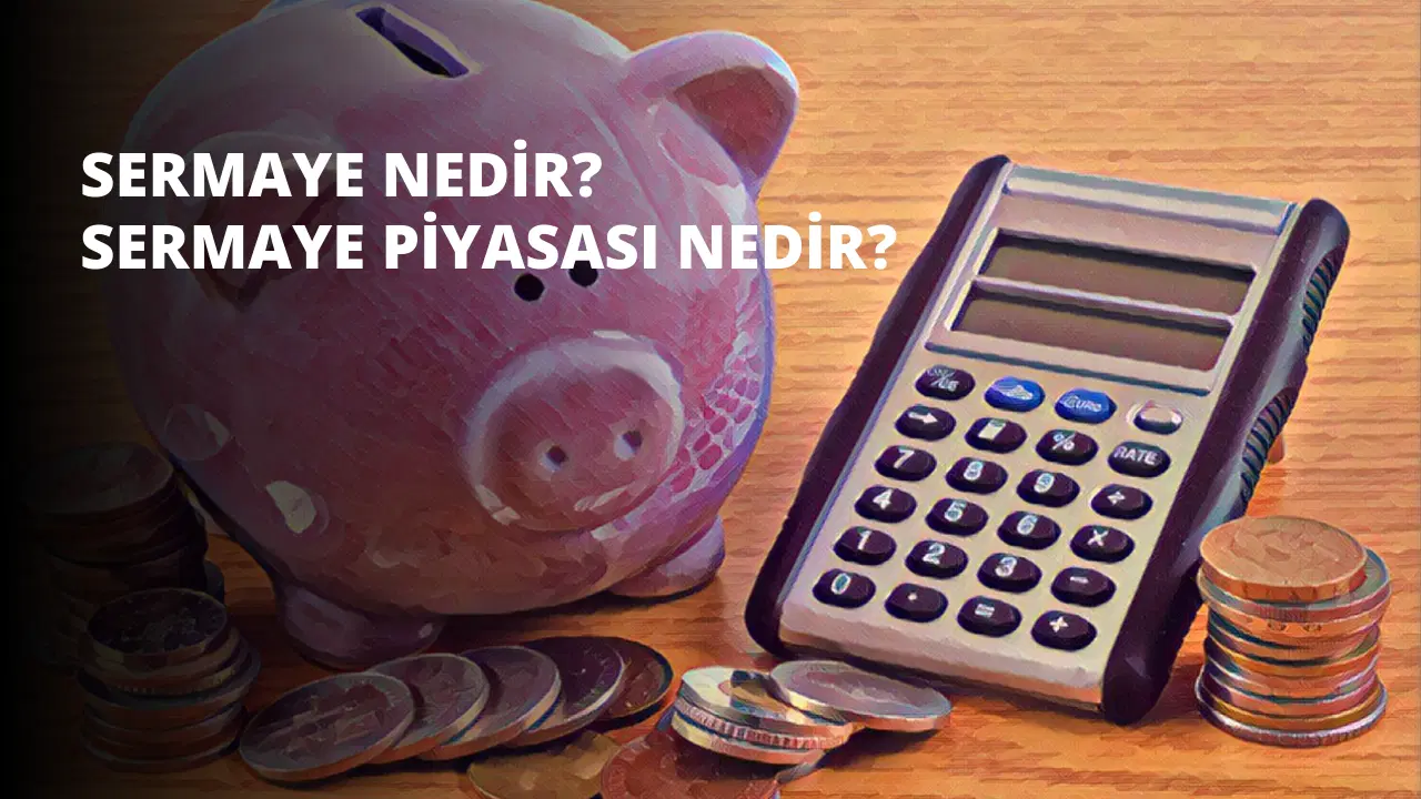 Sermaye Nedir? Sermaye Piyasası Nedir?