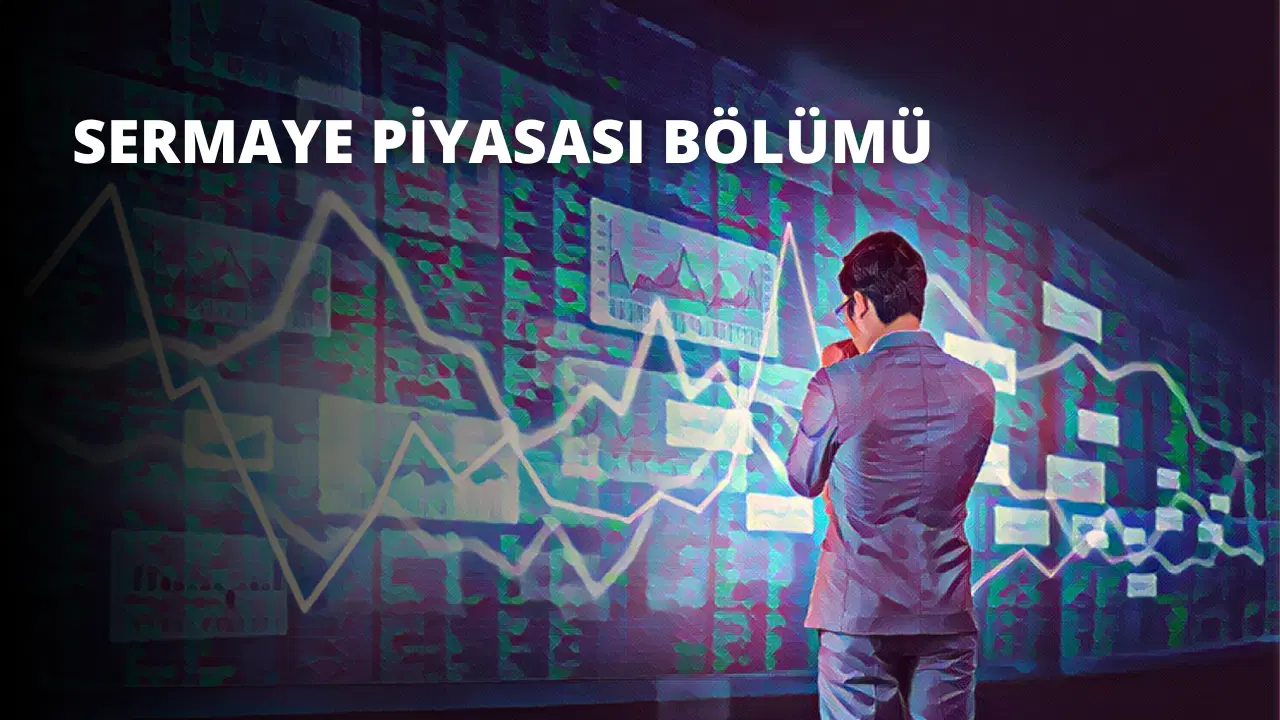 Sermaye Piyasası Bölümü