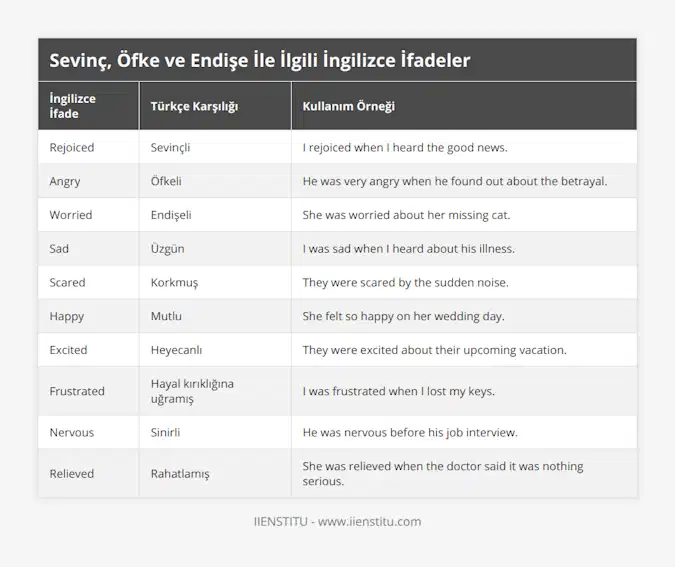 Rejoiced, Sevinçli, I rejoiced when I heard the good news, Angry, Öfkeli, He was very angry when he found out about the betrayal, Worried, Endişeli, She was worried about her missing cat, Sad, Üzgün, I was sad when I heard about his illness, Scared, Korkmuş, They were scared by the sudden noise, Happy, Mutlu, She felt so happy on her wedding day, Excited, Heyecanlı, They were excited about their upcoming vacation, Frustrated, Hayal kırıklığına uğramış, I was frustrated when I lost my keys, Nervous, Sinirli, He was nervous before his job interview, Relieved, Rahatlamış, She was relieved when the doctor said it was nothing serious