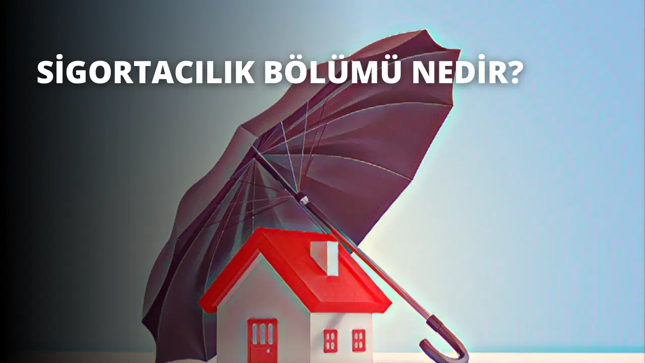 Sigortacılık Bölümü Nedir?