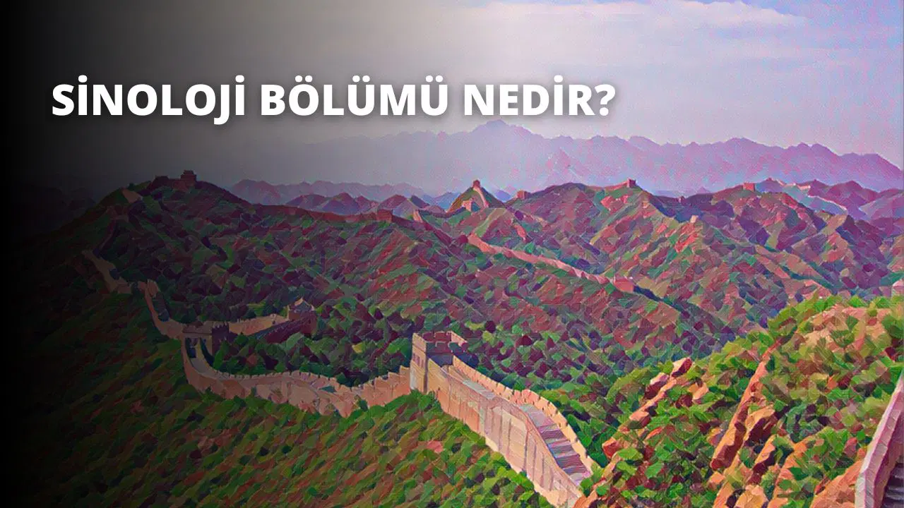 Sinoloji Bölümü Nedir?