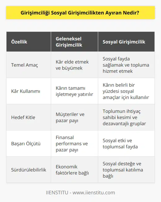 Sosyal girişimci, sosyal amacı destekleyecek şekilde kazancının örneğin %50 gibi belli bir kısmını sosyal amaçlar için kullanan kişiler olarak adlandırılır. Asıl amaçları aslında daha fazla kar elde etmekten çok sosyal bir fayda oluşturmak ve insanların dikkatini bu yöne çekmektir.
