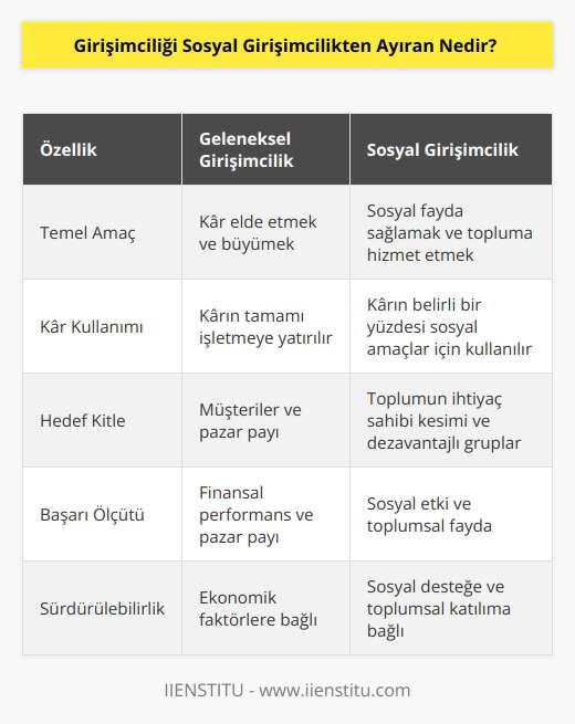 Sosyal girişimci, sosyal amacı destekleyecek şekilde kazancının örneğin %50 gibi belli bir kısmını sosyal amaçlar için kullanan kişiler olarak adlandırılır. Asıl amaçları aslında daha fazla kar elde etmekten çok sosyal bir fayda oluşturmak ve insanların dikkatini bu yöne çekmektir.