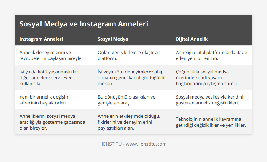 Annelik deneyimlerini ve tecrübelerini paylaşan bireyler, Onları geniş kitlelere ulaştıran platform, Anneliği dijital platformlarda ifade eden yeni bir eğilim, İyi ya da kötü yaşanmışlıkları diğer annelere sergileyen kullanıcılar, İyi veya kötü deneyimlere sahip olmanın genel kabul gördüğü bir mekan, Çoğunlukla sosyal medya üzerinde kendi yaşam bağlamlarını paylaşma süreci, Yeni bir annelik değişim sürecinin baş aktörleri, Bu dönüşümü olası kılan ve genişleten araç, Sosyal medya vesilesiyle kendini gösteren annelik değişiklikleri, Anneliklerini sosyal medya aracılığıyla gösterme çabasında olan bireyler, Annelerin etkileşimde olduğu, fikirlerini ve deneyimlerini paylaştıkları alan, Teknolojinin annelik kavramına getirdiği değişiklikler ve yenilikler
