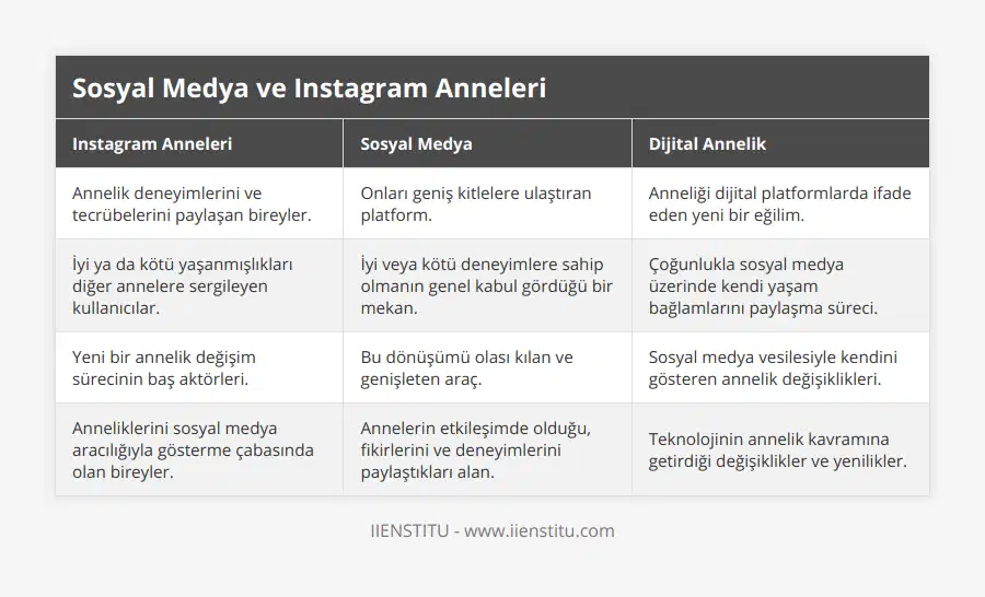 Annelik deneyimlerini ve tecrübelerini paylaşan bireyler, Onları geniş kitlelere ulaştıran platform, Anneliği dijital platformlarda ifade eden yeni bir eğilim, İyi ya da kötü yaşanmışlıkları diğer annelere sergileyen kullanıcılar, İyi veya kötü deneyimlere sahip olmanın genel kabul gördüğü bir mekan, Çoğunlukla sosyal medya üzerinde kendi yaşam bağlamlarını paylaşma süreci, Yeni bir annelik değişim sürecinin baş aktörleri, Bu dönüşümü olası kılan ve genişleten araç, Sosyal medya vesilesiyle kendini gösteren annelik değişiklikleri, Anneliklerini sosyal medya aracılığıyla gösterme çabasında olan bireyler, Annelerin etkileşimde olduğu, fikirlerini ve deneyimlerini paylaştıkları alan, Teknolojinin annelik kavramına getirdiği değişiklikler ve yenilikler