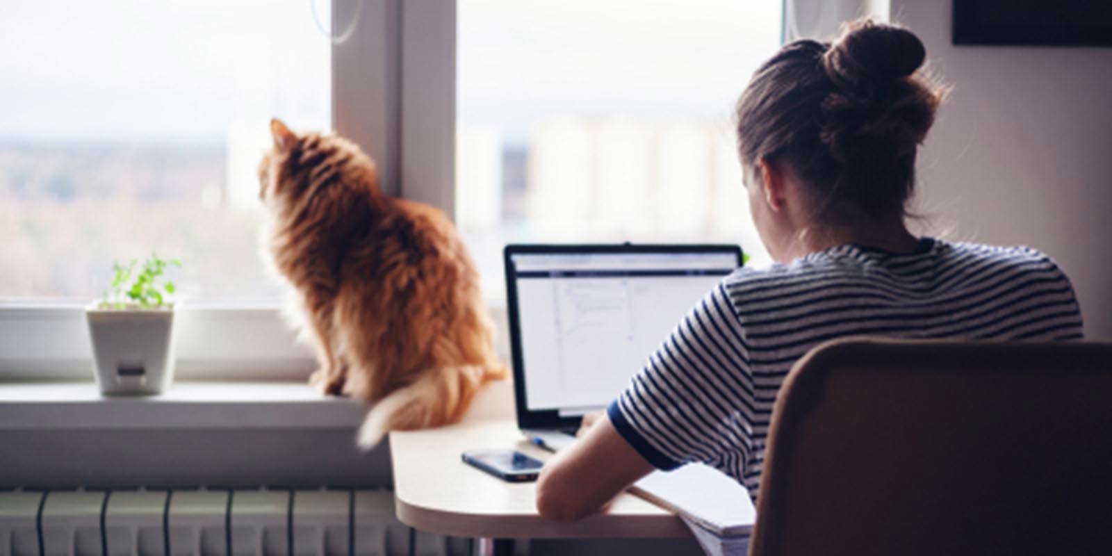 Sosyal Medya ve Yeni Meslekler