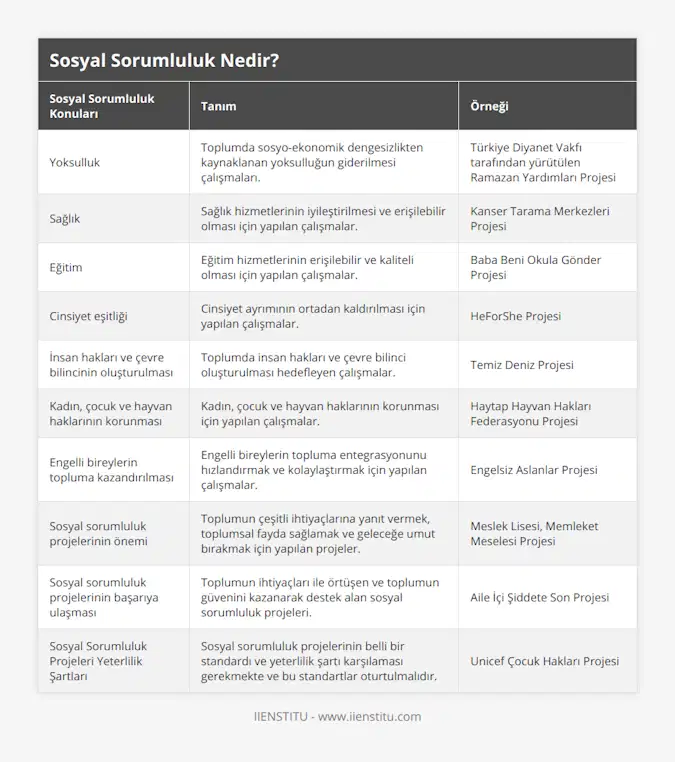 Yoksulluk, Toplumda sosyo-ekonomik dengesizlikten kaynaklanan yoksulluğun giderilmesi çalışmaları, Türkiye Diyanet Vakfı tarafından yürütülen Ramazan Yardımları Projesi, Sağlık, Sağlık hizmetlerinin iyileştirilmesi ve erişilebilir olması için yapılan çalışmalar, Kanser Tarama Merkezleri Projesi, Eğitim, Eğitim hizmetlerinin erişilebilir ve kaliteli olması için yapılan çalışmalar, Baba Beni Okula Gönder Projesi, Cinsiyet eşitliği, Cinsiyet ayrımının ortadan kaldırılması için yapılan çalışmalar, HeForShe Projesi, İnsan hakları ve çevre bilincinin oluşturulması, Toplumda insan hakları ve çevre bilinci oluşturulması hedefleyen çalışmalar, Temiz Deniz Projesi, Kadın, çocuk ve hayvan haklarının korunması, Kadın, çocuk ve hayvan haklarının korunması için yapılan çalışmalar, Haytap Hayvan Hakları Federasyonu Projesi, Engelli bireylerin topluma kazandırılması, Engelli bireylerin topluma entegrasyonunu hızlandırmak ve kolaylaştırmak için yapılan çalışmalar, Engelsiz Aslanlar Projesi, Sosyal sorumluluk projelerinin önemi, Toplumun çeşitli ihtiyaçlarına yanıt vermek, toplumsal fayda sağlamak ve geleceğe umut bırakmak için yapılan projeler, Meslek Lisesi, Memleket Meselesi Projesi, Sosyal sorumluluk projelerinin başarıya ulaşması, Toplumun ihtiyaçları ile örtüşen ve toplumun güvenini kazanarak destek alan sosyal sorumluluk projeleri, Aile İçi Şiddete Son Projesi, Sosyal Sorumluluk Projeleri Yeterlilik Şartları, Sosyal sorumluluk projelerinin belli bir standardı ve yeterlilik şartı karşılaması gerekmekte ve bu standartlar oturtulmalıdır, Unicef Çocuk Hakları Projesi