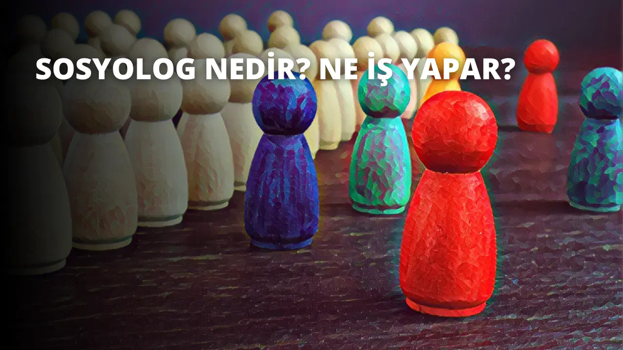 Sosyolog Nedir? Ne İş Yapar?