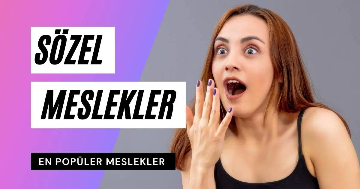 Sözel Meslekler ve Yeni İş Alanları