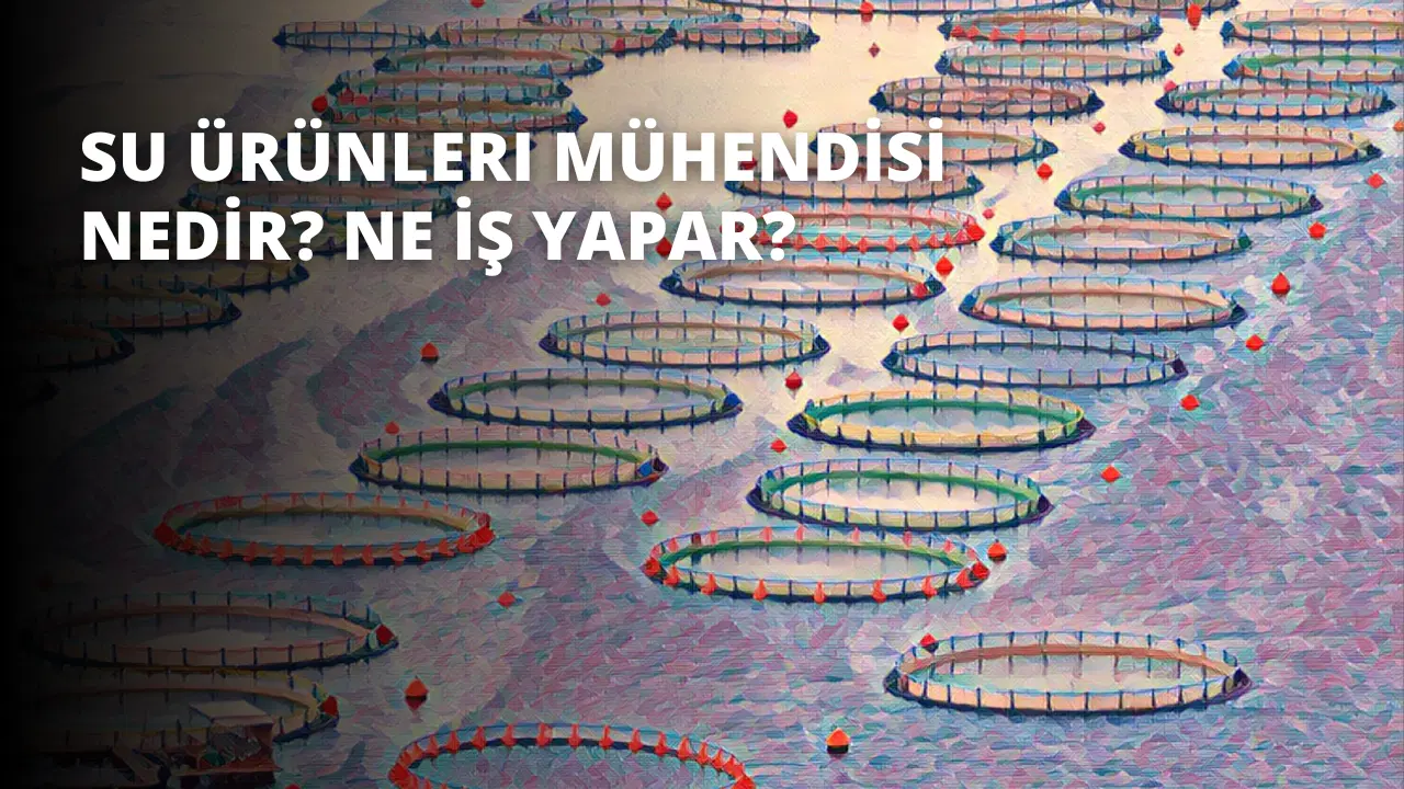 Su Ürünleri Mühendisi Nedir? Ne İş Yapar?