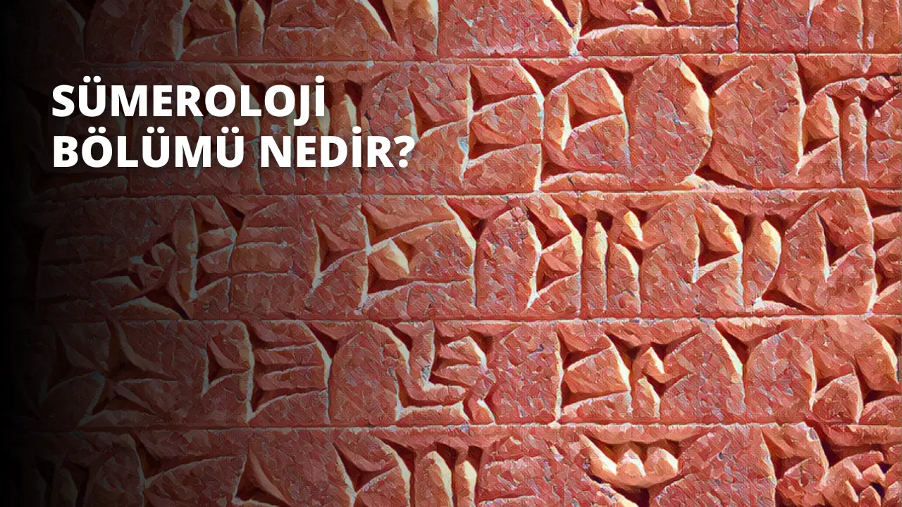 Sümeroloji Bölümü Nedir?