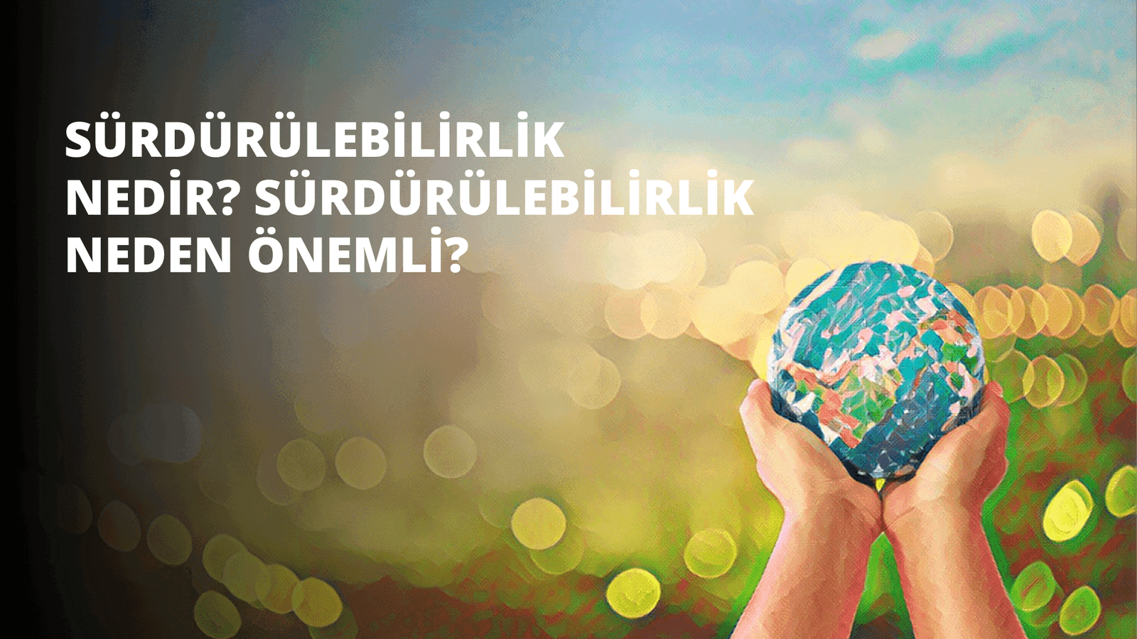Sürdürülebilirlik Nedir? Sürdürülebilirlik Neden Önemli?
