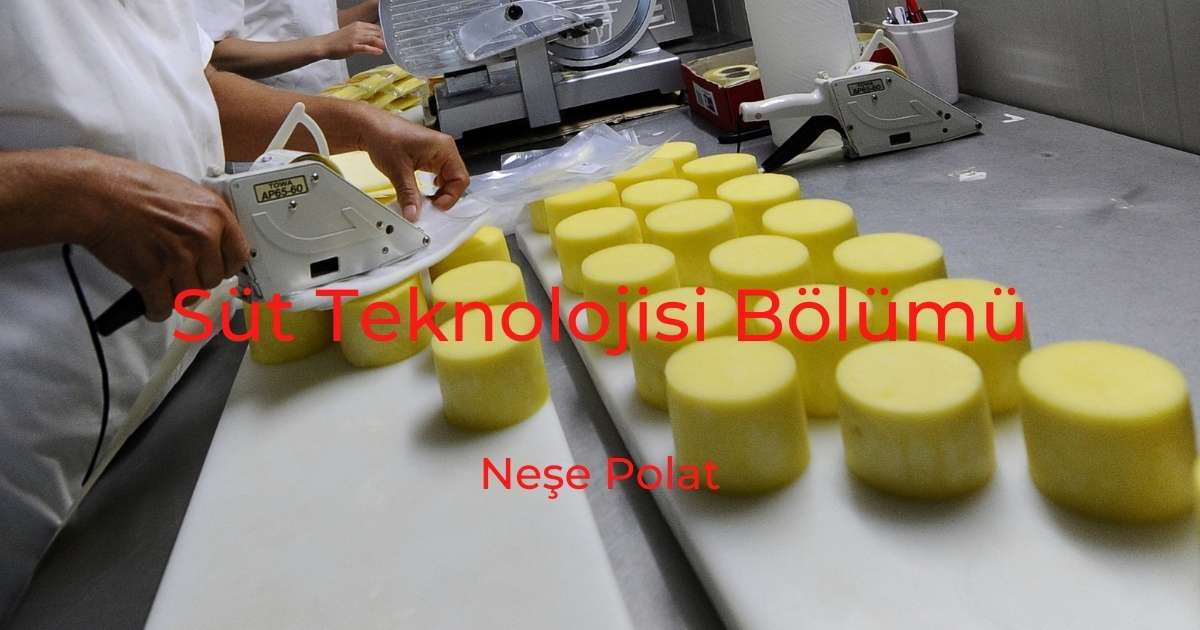 Süt Teknolojisi Bölümü