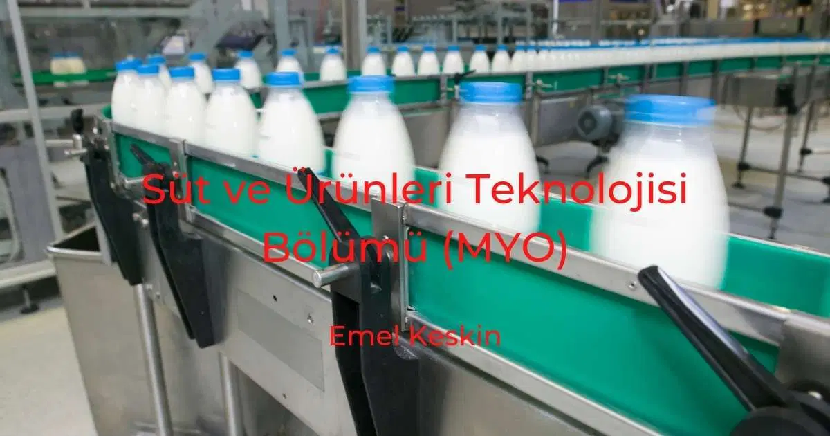 Süt ve Ürünleri Teknolojisi Bölümü (MYO)