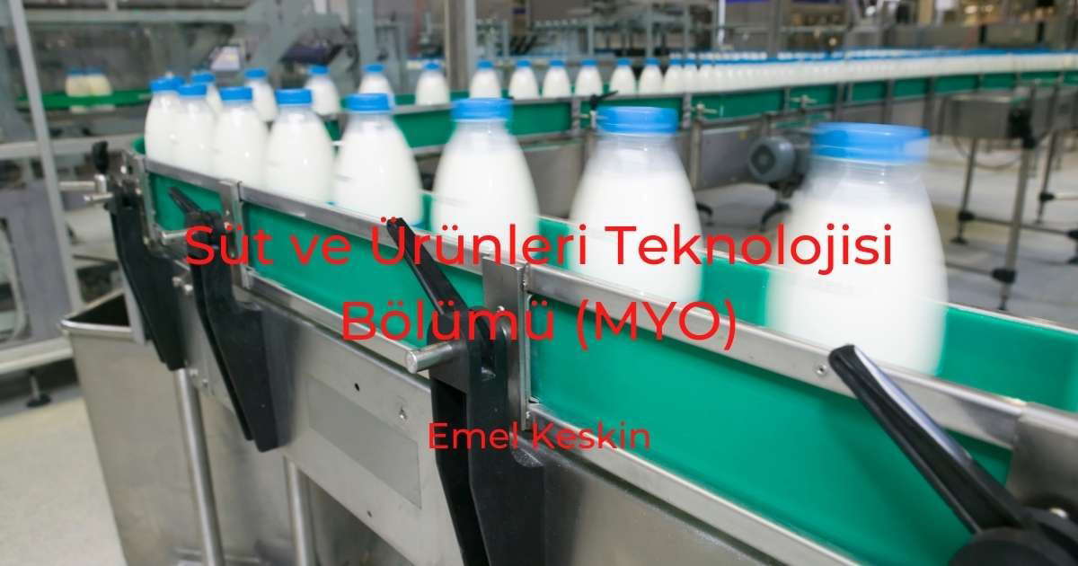 Süt ve Ürünleri Teknolojisi Bölümü (MYO)