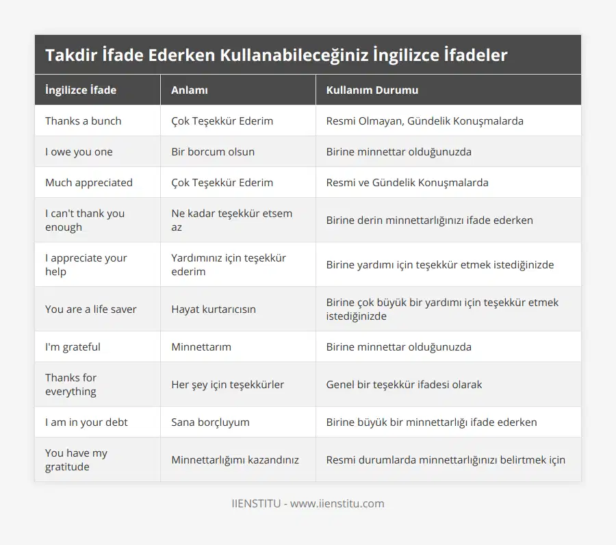 Thanks a bunch, Çok Teşekkür Ederim, Resmi Olmayan, Gündelik Konuşmalarda, I owe you one, Bir borcum olsun, Birine minnettar olduğunuzda, Much appreciated, Çok Teşekkür Ederim, Resmi ve Gündelik Konuşmalarda, I can't thank you enough, Ne kadar teşekkür etsem az, Birine derin minnettarlığınızı ifade ederken, I appreciate your help, Yardımınız için teşekkür ederim, Birine yardımı için teşekkür etmek istediğinizde, You are a life saver, Hayat kurtarıcısın, Birine çok büyük bir yardımı için teşekkür etmek istediğinizde, I'm grateful, Minnettarım, Birine minnettar olduğunuzda, Thanks for everything, Her şey için teşekkürler, Genel bir teşekkür ifadesi olarak, I am in your debt, Sana borçluyum, Birine büyük bir minnettarlığı ifade ederken, You have my gratitude, Minnettarlığımı kazandınız, Resmi durumlarda minnettarlığınızı belirtmek için