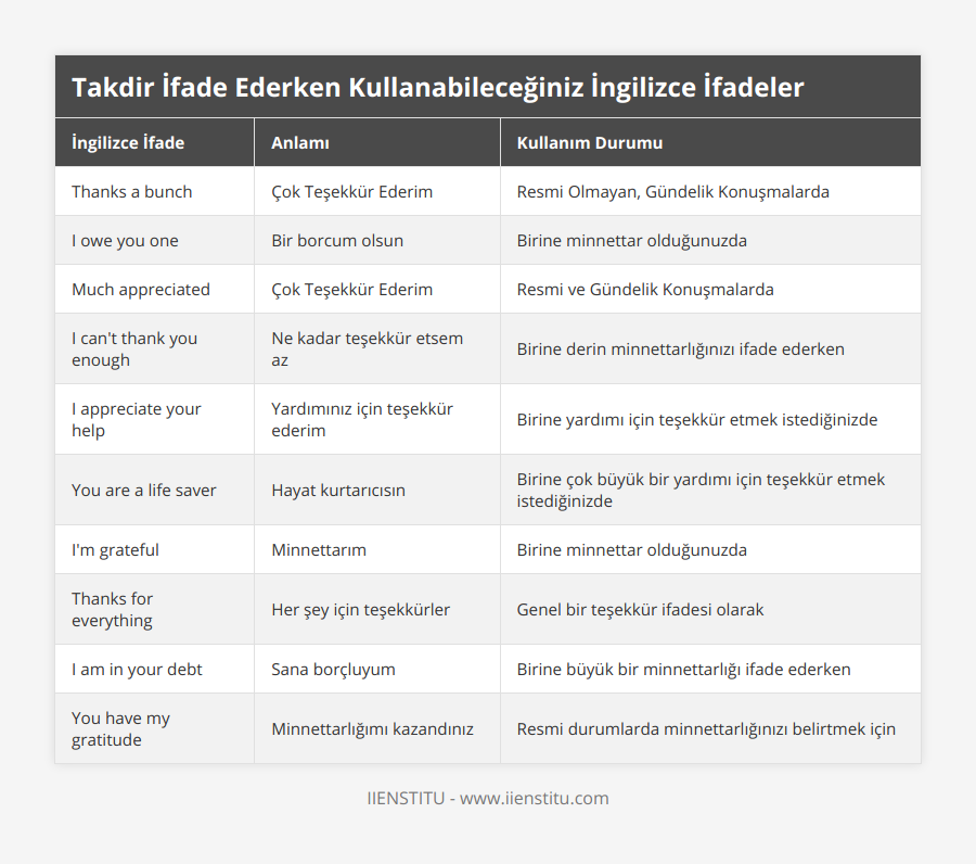 Thanks a bunch, Çok Teşekkür Ederim, Resmi Olmayan, Gündelik Konuşmalarda, I owe you one, Bir borcum olsun, Birine minnettar olduğunuzda, Much appreciated, Çok Teşekkür Ederim, Resmi ve Gündelik Konuşmalarda, I can't thank you enough, Ne kadar teşekkür etsem az, Birine derin minnettarlığınızı ifade ederken, I appreciate your help, Yardımınız için teşekkür ederim, Birine yardımı için teşekkür etmek istediğinizde, You are a life saver, Hayat kurtarıcısın, Birine çok büyük bir yardımı için teşekkür etmek istediğinizde, I'm grateful, Minnettarım, Birine minnettar olduğunuzda, Thanks for everything, Her şey için teşekkürler, Genel bir teşekkür ifadesi olarak, I am in your debt, Sana borçluyum, Birine büyük bir minnettarlığı ifade ederken, You have my gratitude, Minnettarlığımı kazandınız, Resmi durumlarda minnettarlığınızı belirtmek için