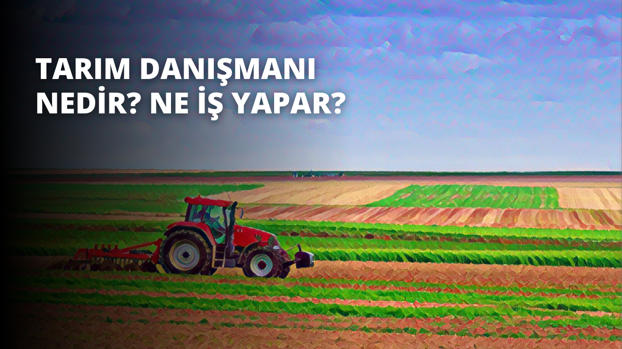 Tarım Danışmanı Nedir? Ne İş Yapar?