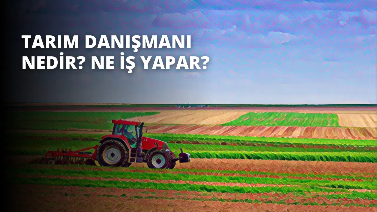 Tarım Danışmanı Nedir? Ne İş Yapar?