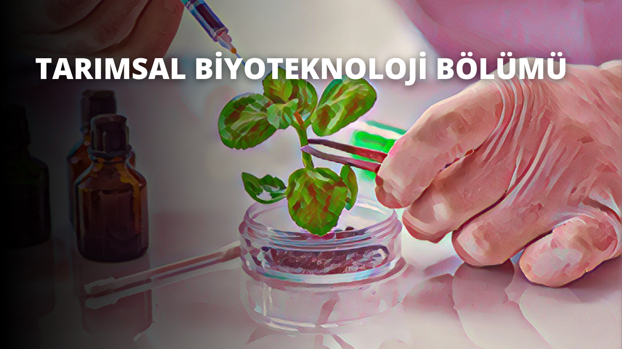 Tarımsal Biyoteknoloji Bölümü