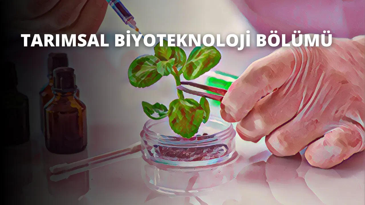 Tarımsal Biyoteknoloji Bölümü