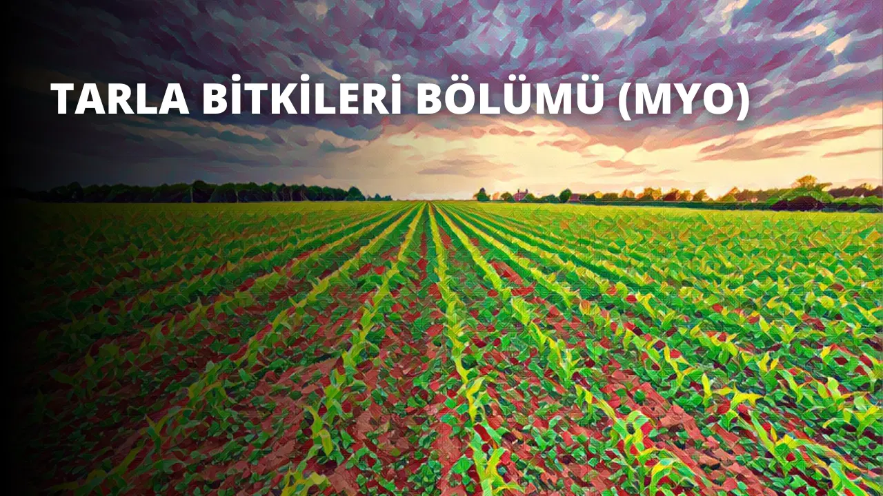 Tarla Bitkileri Bölümü (MYO)