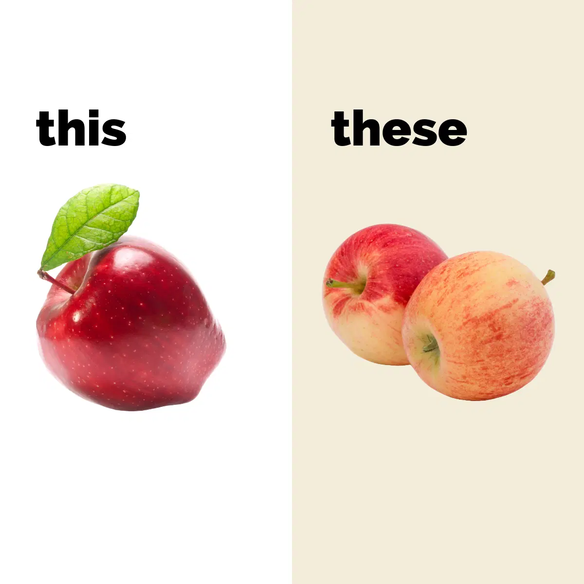 This ve These Arasındaki Fark