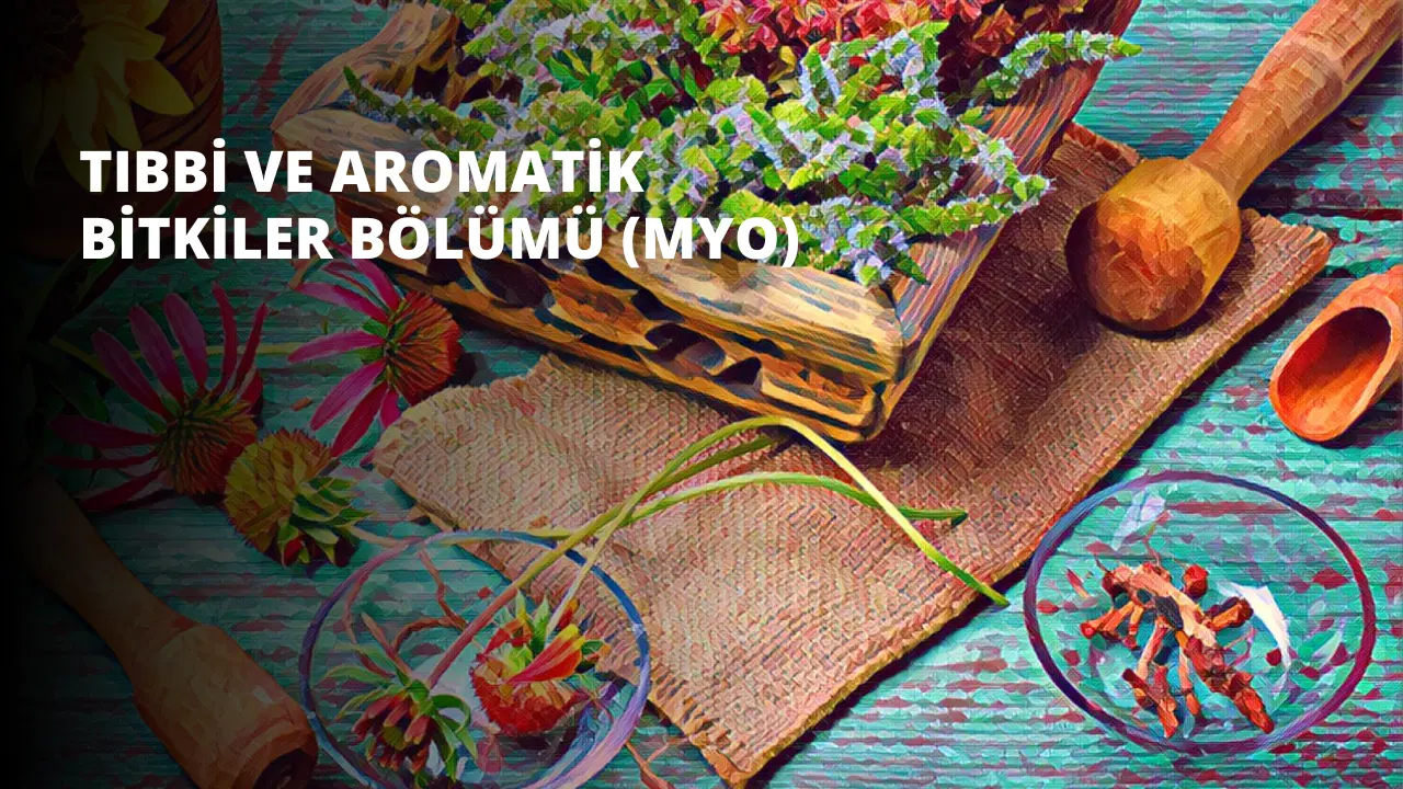 Tıbbi ve Aromatik Bitkiler Bölümü (MYO)