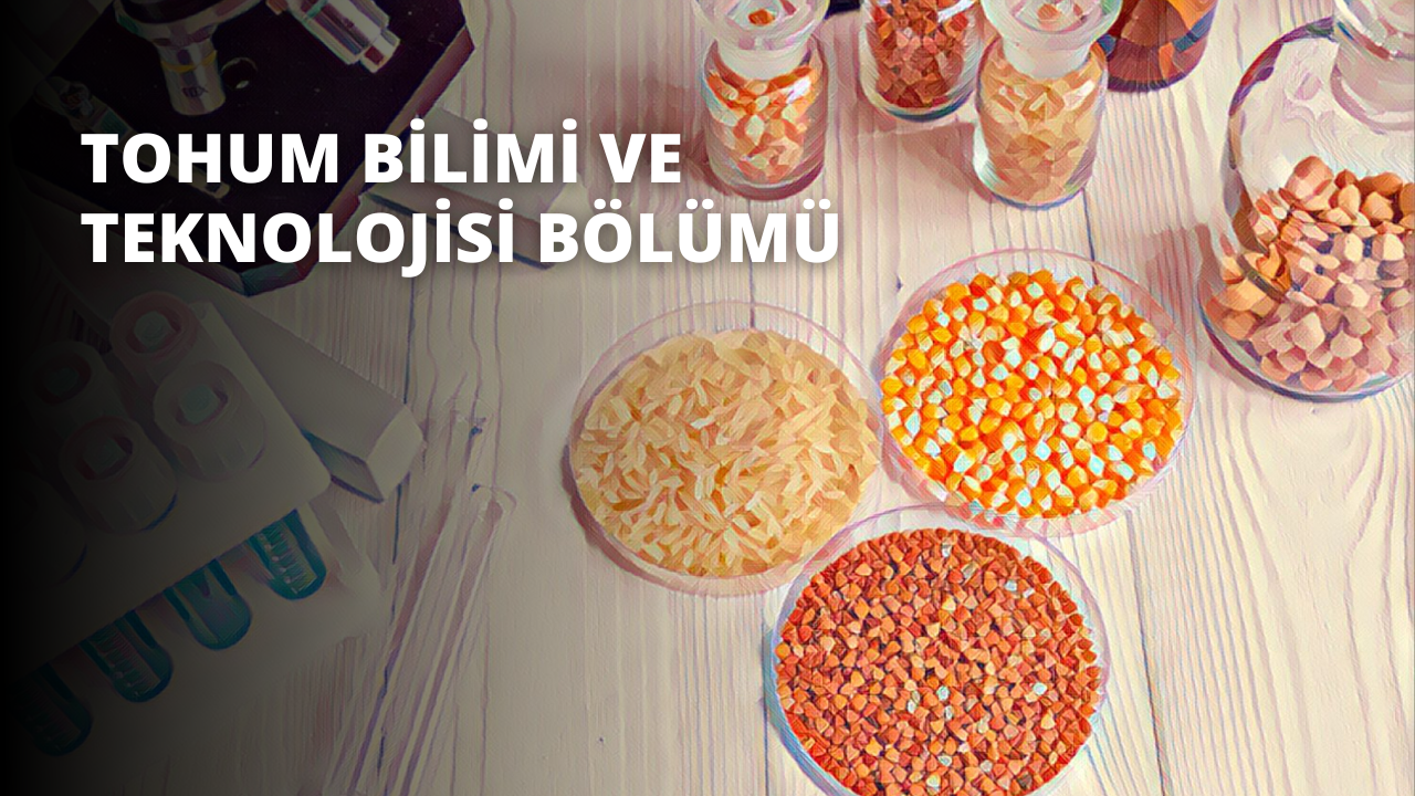 Tohum Bilimi ve Teknolojisi Bölümü