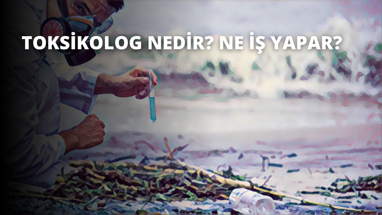 Toksikolog Nedir? Ne İş Yapar?