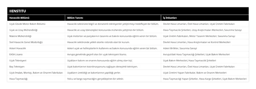 Uçak Gövde Motor Bakım Bölümü, Havacılık sektörüne bilgili ve donanımlı teknisyenler yetiştirmeyi hedefleyen bir bölüm, Devlet Hava Limanları, Özel Hava Limanları, Uçak Üretim Fabrikaları, Uçak ve Uzay Mühendisliği, Havacılık ve uzay teknolojileri konusunda mühendis yetiştiren bir bölüm, Hava Taşımacılık Şirketleri, Uzay Araştırmaları Merkezleri, Savunma Sanayi, Makine Mühendisliği, Uçak motorları ve parçalarının tasarımı ve bakımı konusunda eğitim veren bir bölüm, Uçak Üretim Fabrikaları, Motor Tasarım Merkezleri, Savunma Sanayi, Sivil Havacılık Genel Müdürlüğü, Havacılık sektöründe yetkili otorite rolünde olan bir kurum, Devlet Hava Limanları, Hava Araştırmaları ve Kontrol Merkezleri, Askeri Havacılık, Askeri uçak ve helikopterlerin kullanımı ve bakımı konusunda eğitim veren bir bölüm, Askeri Birlikler, Savunma Sanayi, EASA Lisansı, Avrupa genelinde geçerli olan bir uçak teknisyeni lisansı, Avrupa'daki Hava Taşımacılığı Şirketleri, Uçak Bakım Merkezleri, Uçak Teknisyeni, Uçakların bakımı ve onarımı konusunda eğitim almış olan kişi, Uçak Bakım Merkezleri, Hava Taşımacılık Şirketleri, Baş Teknisyen, Uçak bakımlarının koordinasyonunu sağlayan deneyimli teknisyen, Devlet Hava Limanları, Özel Hava Limanları, Uçak Üretim Fabrikaları, Uçak İmalatı, Montajı, Bakım ve Onarım Fabrikaları, Uçakların üretildiği ve bakımlarının yapıldığı yerler, Uçak Üretimi Yapan Fabrikalar, Bakım ve Onarım Merkezleri, Hava Taşımacılığı, Yolcu ve kargo taşımacılığını gerçekleştiren bir sektör, Hava Taşımacılığı Yapan Şirketler, Hava Kargo Şirketleri, Uçak Bakım Merkezleri