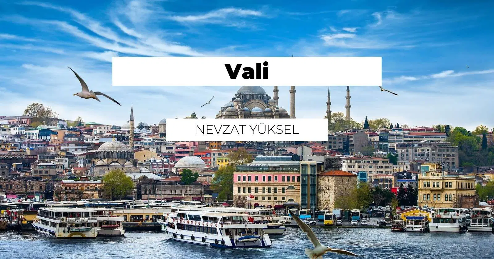 Vali Nedir? Ne İş Yapar? Maaşı Ne Kadar?