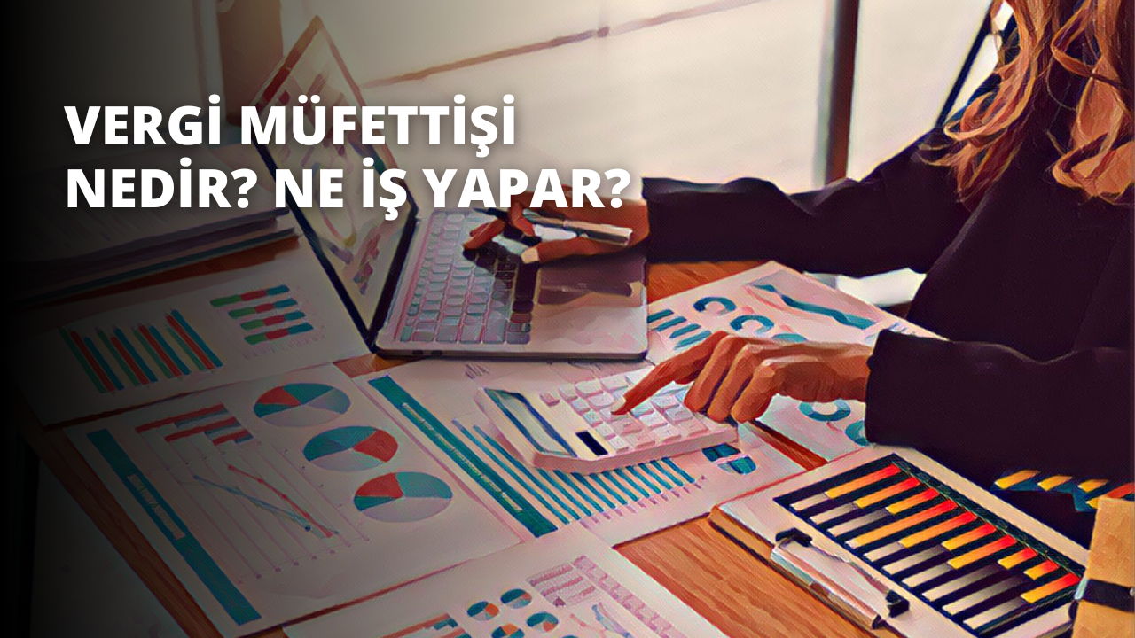 Vergi Müfettişi Nedir? Ne İş Yapar?