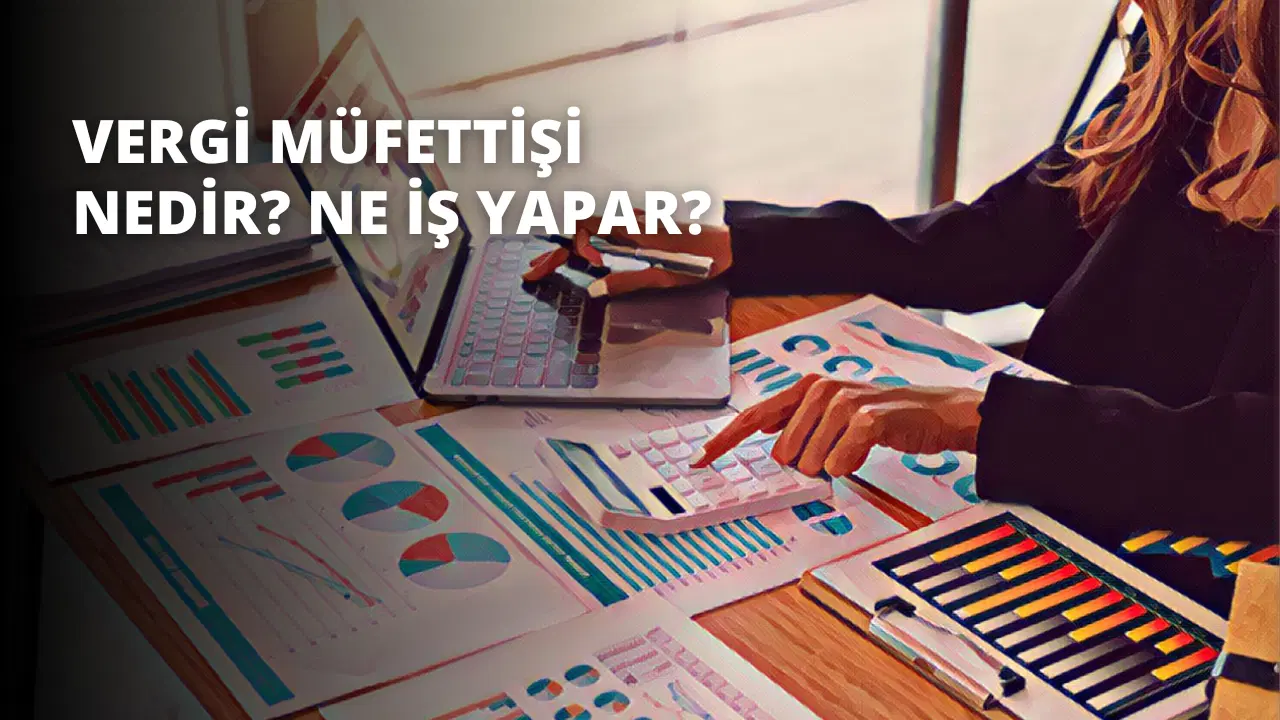 Vergi Müfettişi Nedir? Ne İş Yapar?